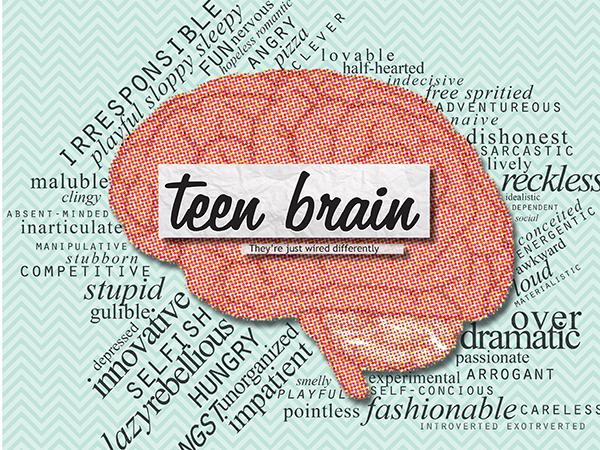 Brains Of The Teens Who 5