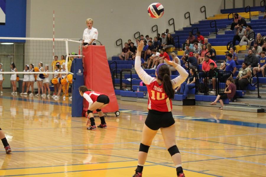Volleyball starts strong with fresh team