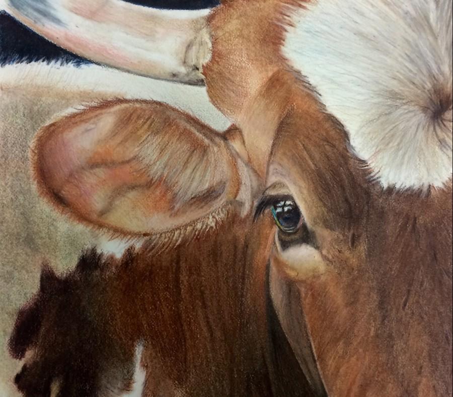 Tomball Students display their talents at Rodeo Art