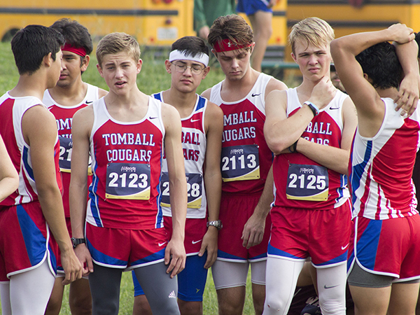 Cross Country runs to district win