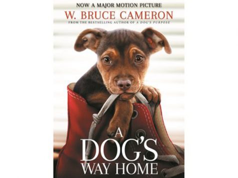 Movie Review: A Dogs Way Home