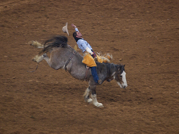 Houston Livestock Show and Rodeo comes to town