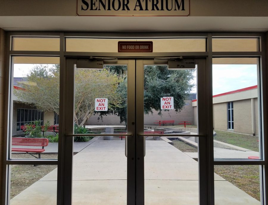 Senior+Girls+need+help+with+Atrium+improvements