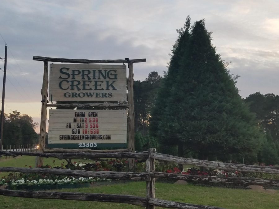 Spring Creek Growers is looking for holiday helpers.