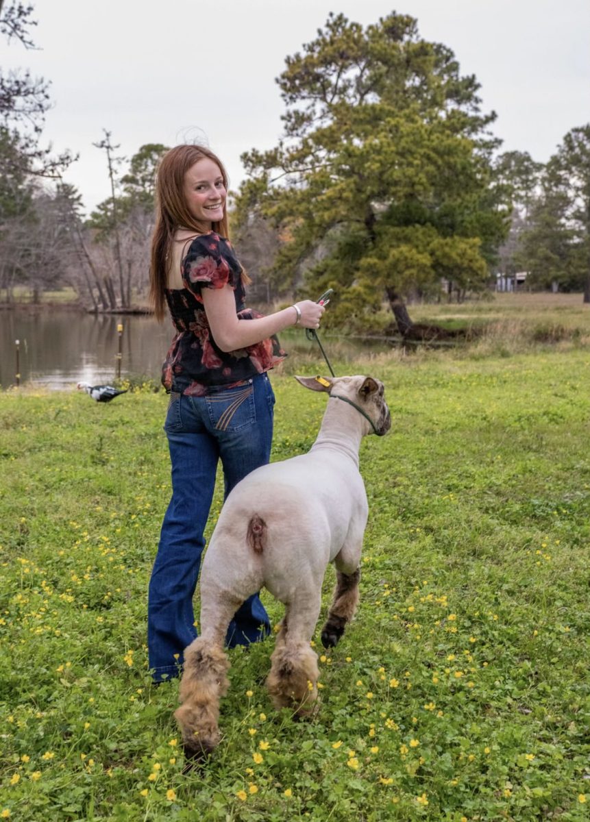Posing with her lamb for her senior pictures earlier in the year. 