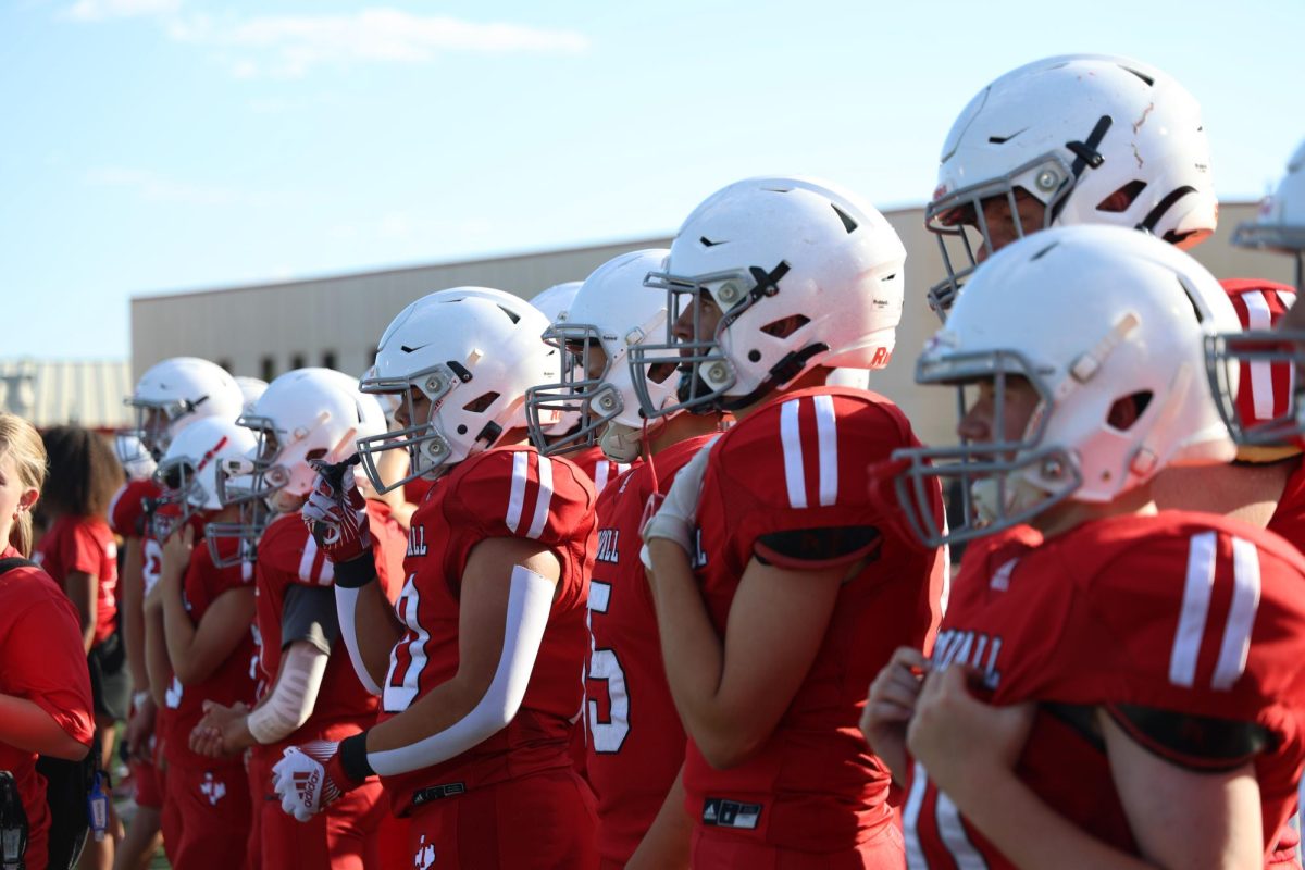 Coogs on the sidelines watching the game.