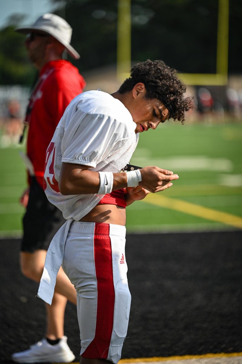 Cougar fixing his jersey 