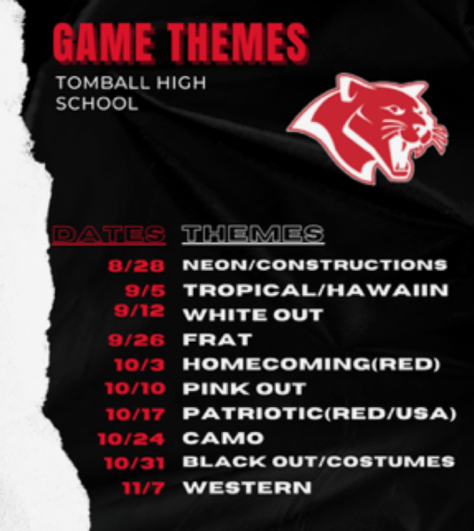 Football game dress-up themes