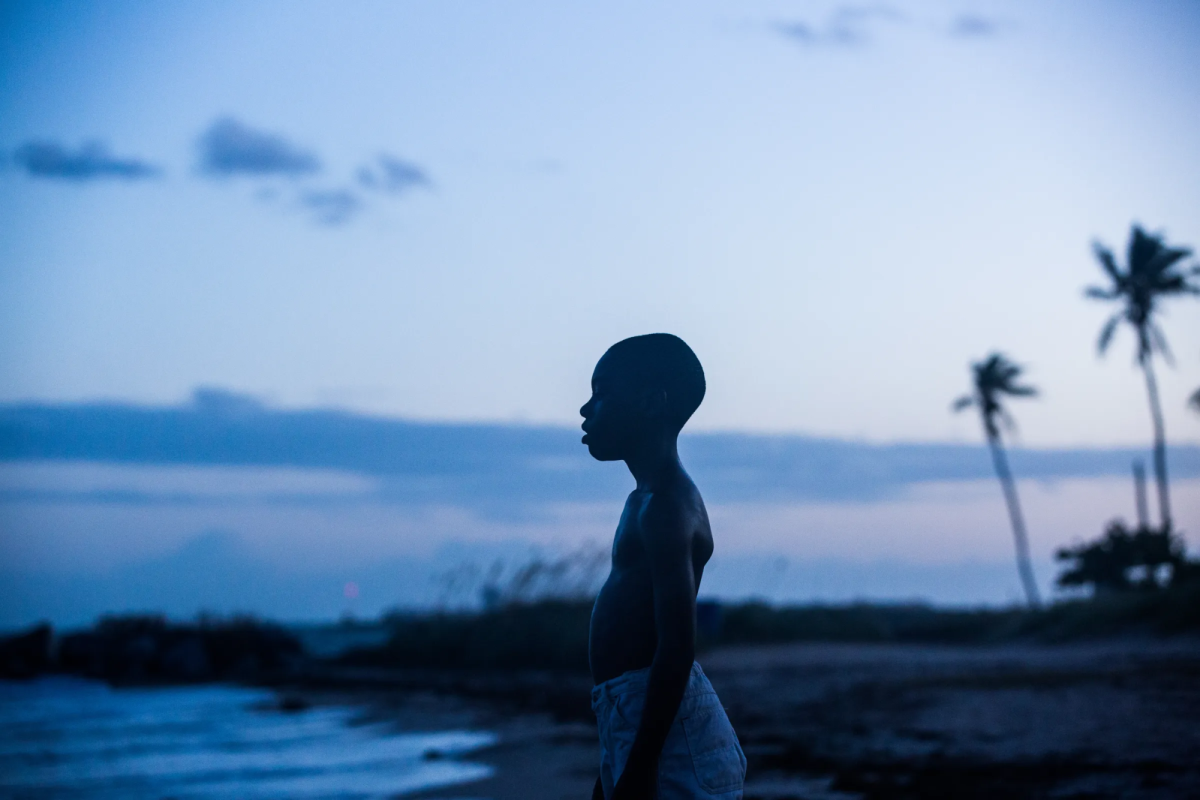 Moonlight vs. La La Land debate